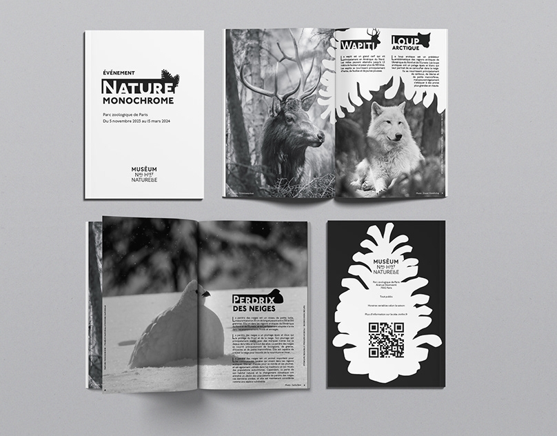 Brochure-for-a-Zoological-Exhibition